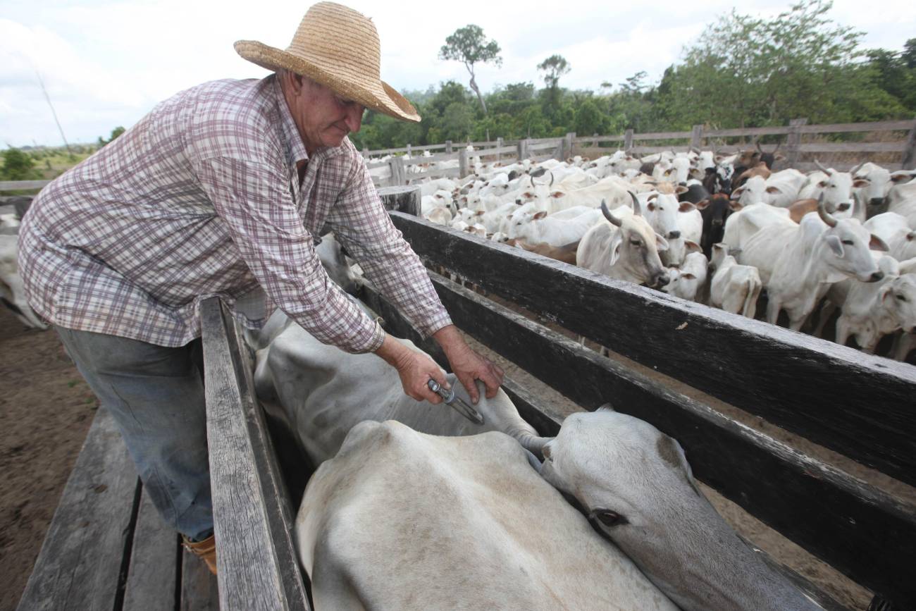 Nova etapa do programa Territórios Sustentáveis prioriza propriedades de São Félix do Xingu e Tucumã