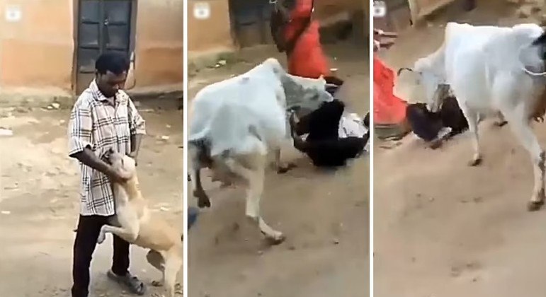Vídeo: homem machuca cachorro e vaca se vinga do agressor