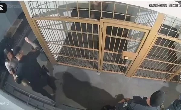 Vídeo: policial empurra advogada dentro de delegacia enquanto ela acompanhava cliente