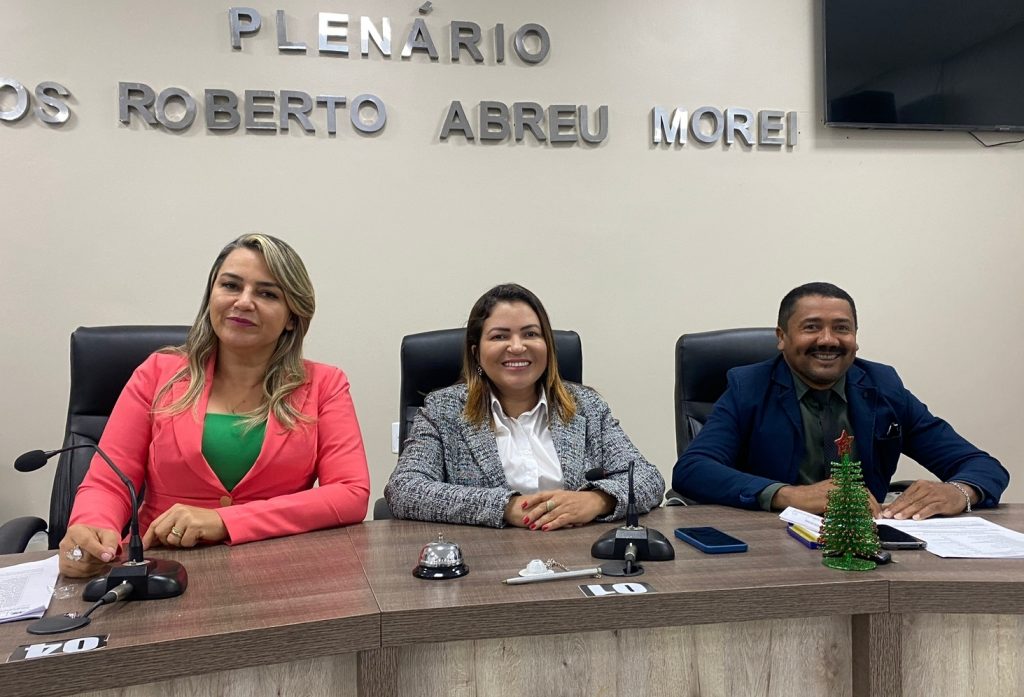 Adriana Torres é Eleita A Nova Presidente Da Câmara De São Félix Do Xingu Fato Regional 